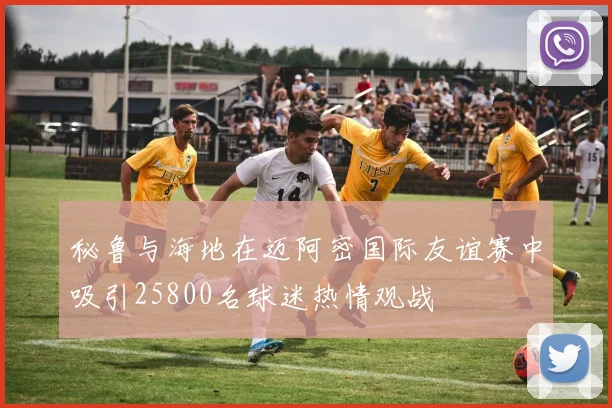 秘鲁与海地在迈阿密国际友谊赛中吸引25800名球迷热情观战