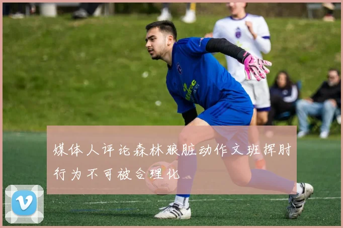 媒体人评论森林狼脏动作文班挥肘行为不可被合理化
