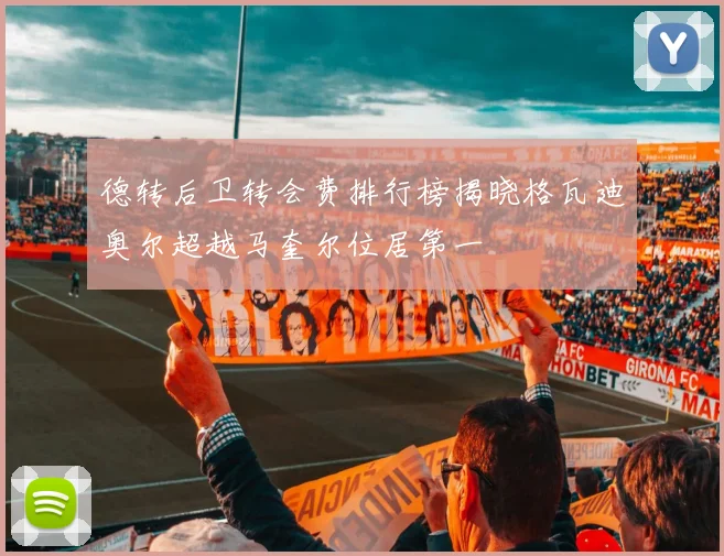 德转后卫转会费排行榜揭晓格瓦迪奥尔超越马奎尔位居第一