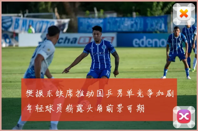 樊振东缺席推动国乒男单竞争加剧年轻球员崭露头角前景可期
