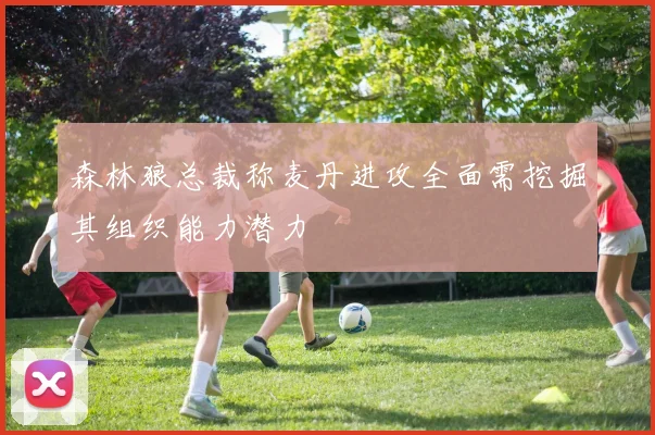 森林狼总裁称麦丹进攻全面需挖掘其组织能力潜力